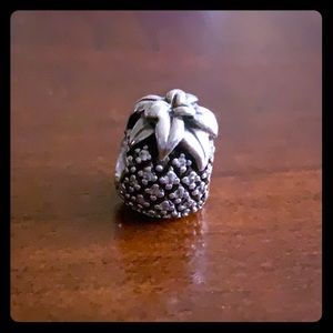 Pineapple 🍍 Charm